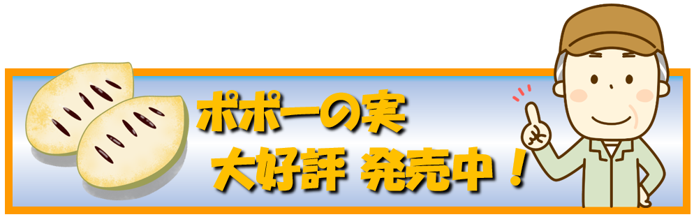 ポポじいのポポー農園 徳島県でポポーの苗木を販売中 幻の果実ポポーを栽培しよう