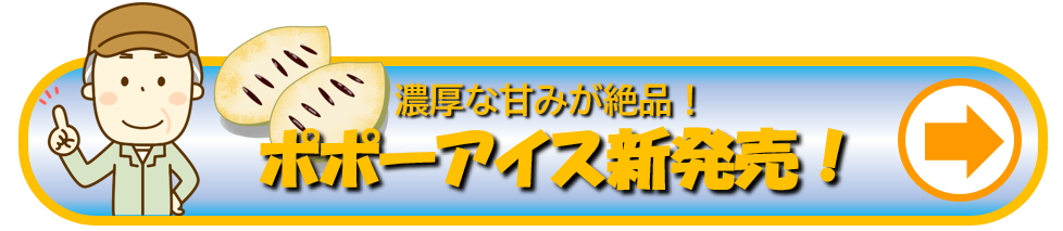 ポポじいのポポー農園 徳島県でポポーの苗木を販売中 幻の果実ポポーを栽培しよう